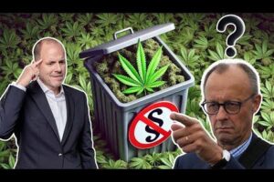 Vorschaubild des Videos: "Cannabis: CDU drängt auf Verbot! Kommt mit Kanzler Merz das Aus?" mit Anwalt Christian Solmecke vom Kanal Christian Solmecke.